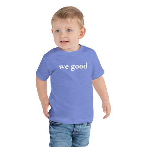 toddler we good short sleeve tee (heather blue)