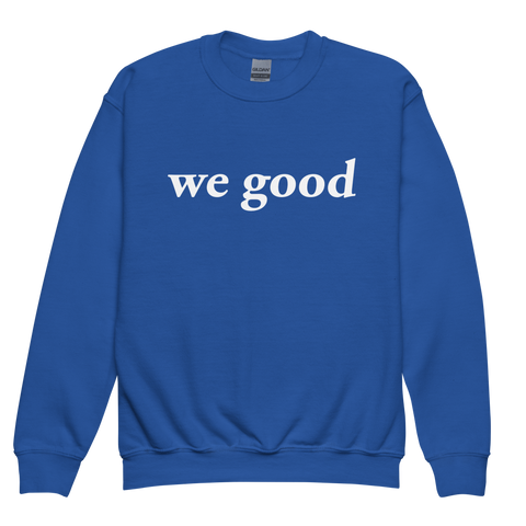 kids we good sweatshirt (blue)